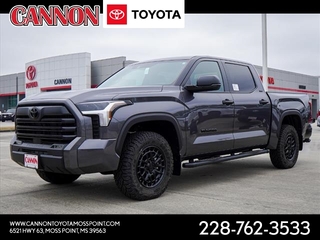 2025 Toyota Tundra for sale in Moss Point MS