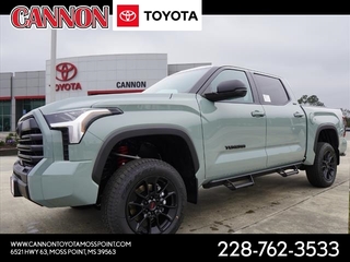 2025 Toyota Tundra for sale in Moss Point MS