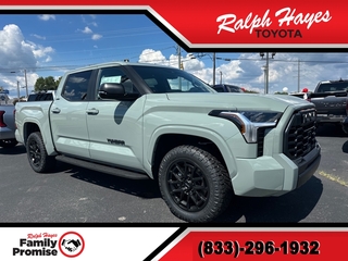 2025 Toyota Tundra for sale in Anderson SC