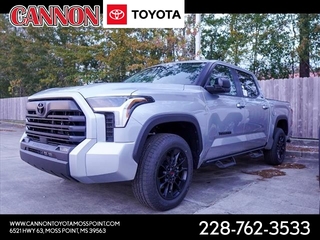 2024 Toyota Tundra for sale in Moss Point MS