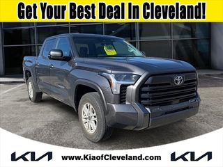 2024 Toyota Tundra for sale in Cleveland TN