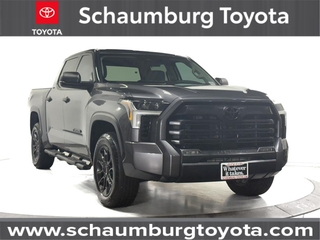 2023 Toyota Tundra for sale in Schaumburg IL