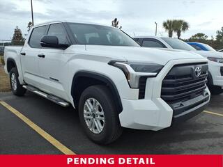 2024 Toyota Tundra for sale in Myrtle Beach SC