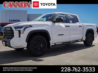 2025 Toyota Tundra for sale in Moss Point MS