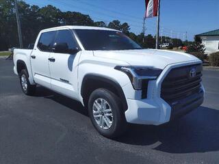 2024 Toyota Tundra for sale in New Bern NC