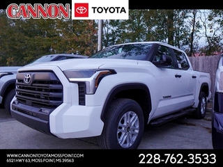 2024 Toyota Tundra for sale in Moss Point MS