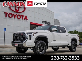 2024 Toyota Tundra for sale in Moss Point MS