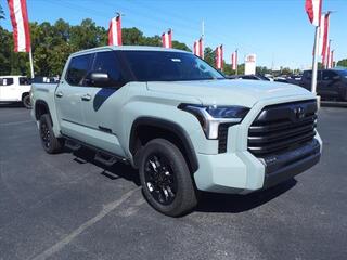 2024 Toyota Tundra for sale in New Bern NC