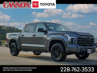 2023 Toyota Tundra