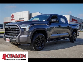 2023 Toyota Tundra for sale in Moss Point MS