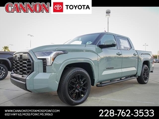 2024 Toyota Tundra for sale in Moss Point MS