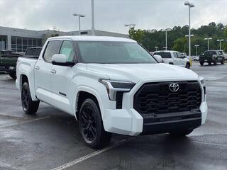 2024 Toyota Tundra for sale in Mcdonald TN