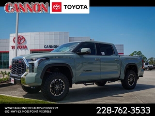 2024 Toyota Tundra for sale in Moss Point MS