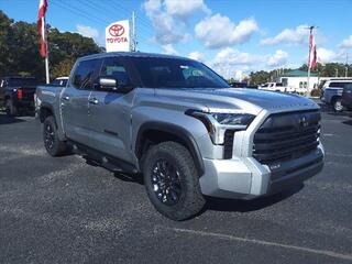 2025 Toyota Tundra for sale in New Bern NC