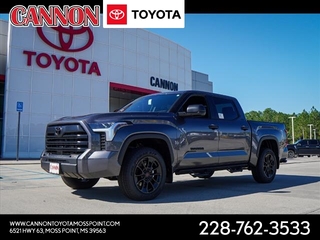 2025 Toyota Tundra for sale in Moss Point MS