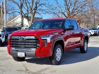 2025 Toyota Tundra for sale in Kirkwood MO