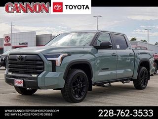 2025 Toyota Tundra for sale in Moss Point MS