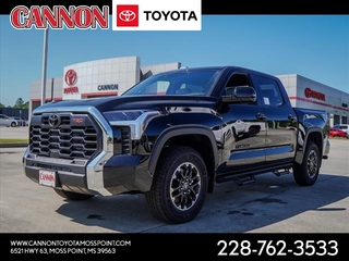 2025 Toyota Tundra for sale in Moss Point MS