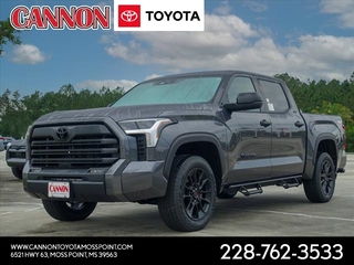 2023 Toyota Tundra