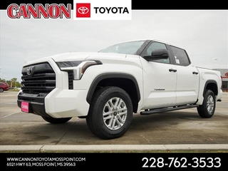 2024 Toyota Tundra for sale in Moss Point MS