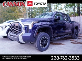 2024 Toyota Tundra for sale in Moss Point MS