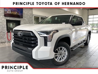 2024 Toyota Tundra for sale in Hernando MS