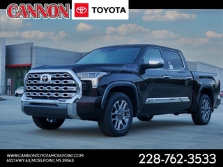 2023 Toyota Tundra