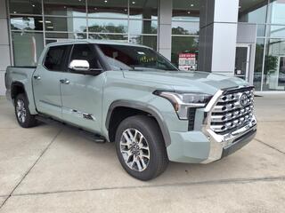 2025 Toyota Tundra for sale in New Bern NC