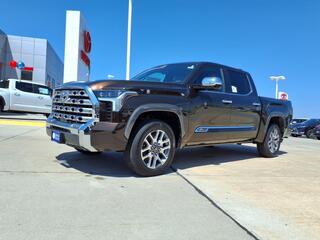 2025 Toyota Tundra for sale in New Bern NC