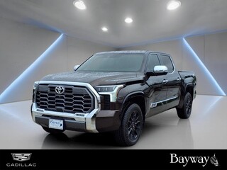 2025 Toyota Tundra for sale in The Woodlands TX