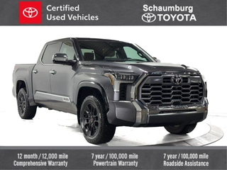 2023 Toyota Tundra for sale in Schaumburg IL