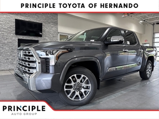 2025 Toyota Tundra