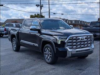2025 Toyota Tundra for sale in Chattanooga TN