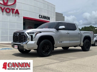 2023 Toyota Tundra for sale in Moss Point MS