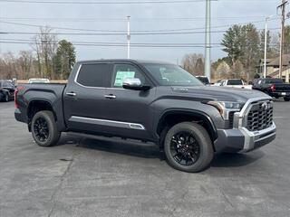 2025 Toyota Tundra for sale in Hendersonville NC