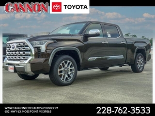 2023 Toyota Tundra for sale in Moss Point MS