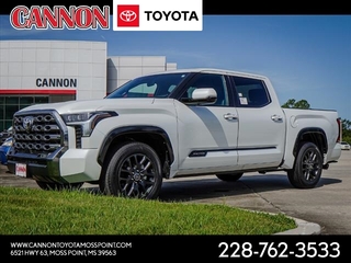 2023 Toyota Tundra for sale in Moss Point MS