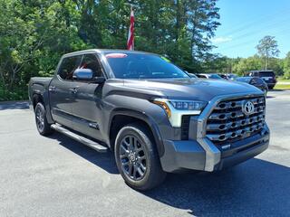 2023 Toyota Tundra for sale in New Bern NC