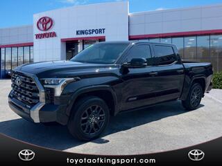 2023 Toyota Tundra for sale in Kingsport TN