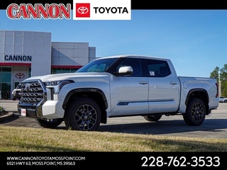 2025 Toyota Tundra for sale in Moss Point MS