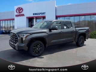 2025 Toyota Tundra for sale in Kingsport TN