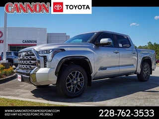 2025 Toyota Tundra for sale in Moss Point MS