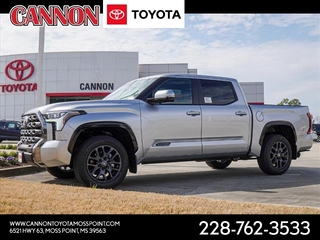 2025 Toyota Tundra for sale in Moss Point MS