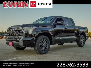 2024 Toyota Tundra