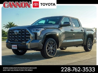 2023 Toyota Tundra for sale in Moss Point MS