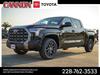 2023 Toyota Tundra for sale in Moss Point MS