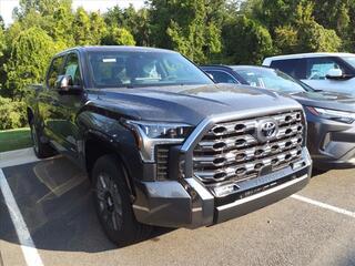 2024 Toyota Tundra for sale in Lynchburg VA