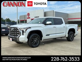 2024 Toyota Tundra for sale in Moss Point MS