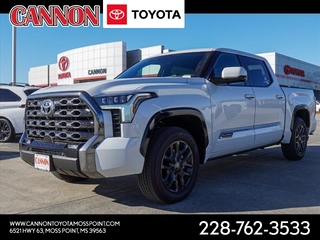 2025 Toyota Tundra for sale in Moss Point MS