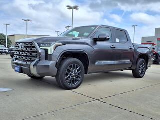 2025 Toyota Tundra for sale in New Bern NC